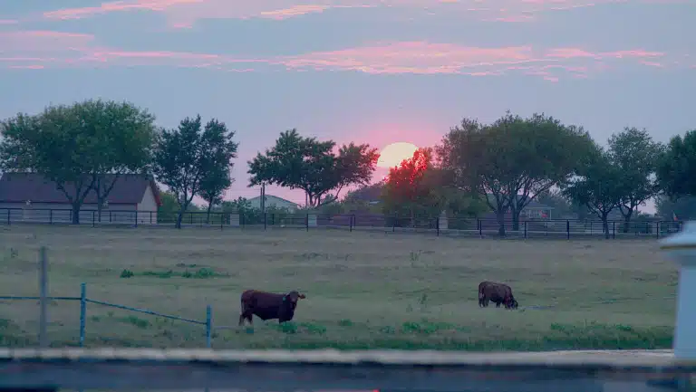 New Hope Ranch